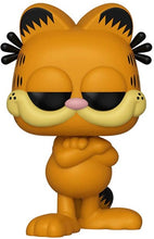 Load image into Gallery viewer, Garfield Funko Pop #20