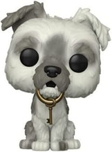 Load image into Gallery viewer, Pirates of the Caribbean Dog w/Key (Walt Disney World 50th Ann.) Funko Pop #1105